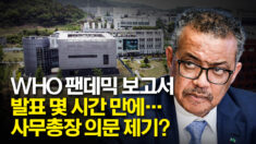 사무총장까지 갸우뚱하게 만든 WHO 코로나19 기원 조사 보고서