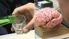 옥스퍼드 연구팀 “술, 마시면 마실수록 뇌 크기 줄어든다”