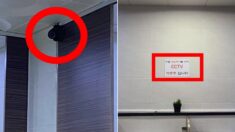 남자화장실 내부에 설치된 CCTV…터미널 “소변 보는 뒷모습만 보여 괜찮다”