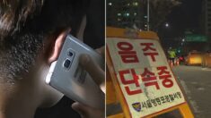 “음주운전 하길래 신고했는데 저 때문에 멀쩡한 가정이 풍비박산 났대요…”