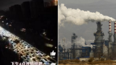 “중국, 대규모 전력난에 결국 호주 석탄 다시 수입한다”