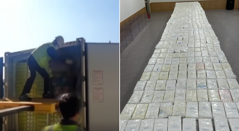 ‘배달 사고’ 나서 한국에 온 아보카도 컨테이너 열자 와르르 쏟아져 나온 마약