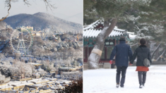 에버랜드 역사상 하루 입장객이 단 ‘둘’뿐이던 어느 겨울날 있었던 일