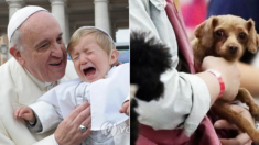 프란치스코 교황 “부부가 아이 안 낳고 반려동물 기르는 건 이기적 행동”