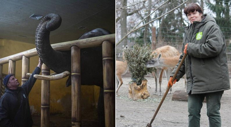동물만 남겨두고 못 가겠다며 피난 포기한 우크라이나 동물원 직원들