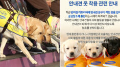 삼성화재안내견 학교에서 ‘무개념 견주’에게 띄운 공지문