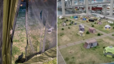 “텐트 테러당했다” 호소한 시민에 오히려 비난 쏟아진 이유