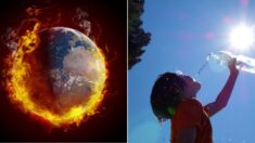 세계기상기구 “올해 7월 기온, 지구 역사상 2번째로 높았다”