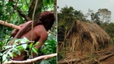 아마존 부족 ‘최후의 1인’ 사망.. 26년간 혼자 살며 문명 거부