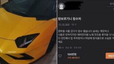 “6억 람보르기니 100만원에 팝니다”…당근마켓 침수차 등장에 화제