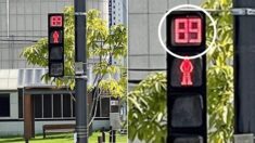 “무단횡단 예방한다” 의정부에 전국 최초로 설치된 ‘빨간불 잔여 시간’ 신호등