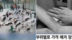 “5천 명 사라졌다” 장기 팔아넘긴 인신매매 조직에 발칵 뒤집힌 대만