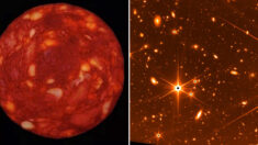 “태양에 가장 가까운 별” 소세지 사진으로 사람들 속인 유명 과학자