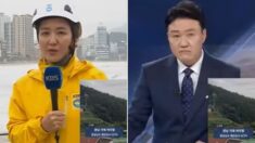 에코 빵빵한 마이크로 태풍 상황 전하는 기자에 표정관리 실패한 KBS 앵커