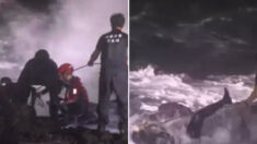 태풍 오는데도 낚시하던 사람 구하려다 파도에 휩쓸린 구조대원들