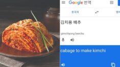 한국인들 끈질긴 요청 끝에 ‘김치용 배추’ 영어 번역에서 ‘Chinese’ 삭제한 구글