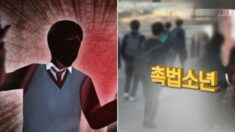 ‘촉법소년’ 기준 14세→13세 낮춘다… 이르면 이번 주 개정안 발표