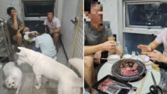 “설마 한국인?” 빌라 복도서 ‘숯불’에 고기 구워 먹는 남성들