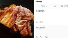 ‘김치용 배추’ 중국어 번역했더니 ‘파오차이’로 안내한 국내 번역기