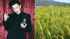 한국 힙합의 아이콘 박재범이 강원도 원주 쌀 1만톤 구매한 이유…정말 뜻깊다