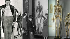 수장해 달라는 유언에도 ‘240년’ 동안 영국 박물관에 전시된 거인