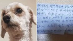 키우던 반려견을 길거리에 두고 간 할아버지가 서툰 글씨로 남긴 쪽지