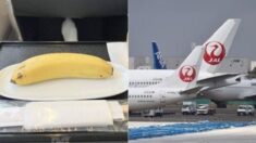 비건 식사 주문한 비즈니스석 고객에 달랑 바나나 한 개 제공한 일본 항공사