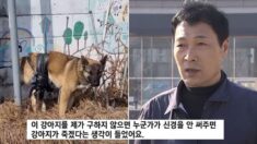 뺑소니 당했는데도 돈이 없어 수술 포기한 독거노인의 반려견을 살린 ‘천사 회사원’