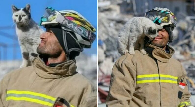 129시간만에 자기 구해준 ‘튀르키예 구호대원’ 어깨 위에 딱 붙어있던 고양이의 결말