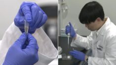 국내 연구진, ‘피 1cc’로 6대 암 한꺼번에 발견하는 검진 기술 개발