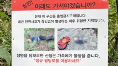 추락사한 사진 그대로 사용… 설악산 국립공원 안내판 갑론을박