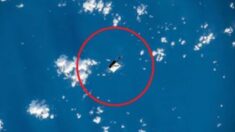 우주비행사가 실수로 ‘가방’ 놓쳤더니… 지구서 관측된 흰 물체