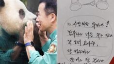 “푸바오, 너를 두고 간다”…강바오가 남긴 마지막 메시지