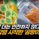 곰팡이는 어떻게 인간을 위협하게 되었나…의학계의 경고 | 팩트매터