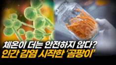 곰팡이는 어떻게 인간을 위협하게 되었나…의학계의 경고 | 팩트매터