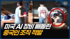 4조 가량 AI 서버 빼돌려…한 명은 도주 중 [CIF]